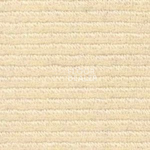 Ковролин Radici Solo Ivory 7000 фото 1 | FLOORDEALER